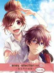 Kokuhaku Yokou Renshuu (Novel)