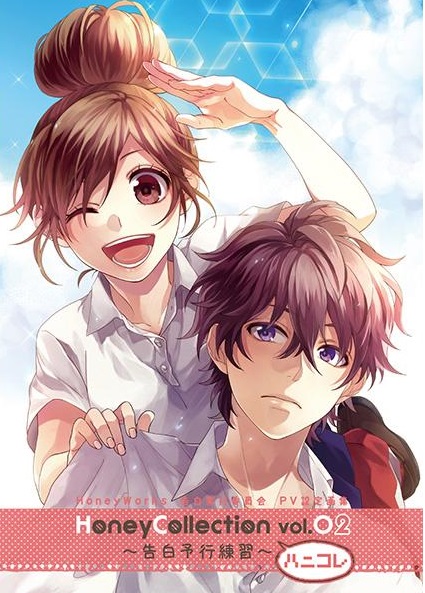 Kokuhaku Yokou Renshuu (Novel)
