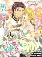 Sakkon no Cinderella wa Kutsu wo Otosanai.
