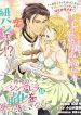Sakkon no Cinderella wa Kutsu wo Otosanai.