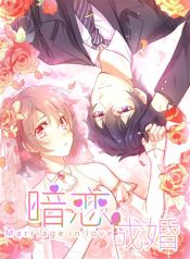 Secret Love And Secret Marriage