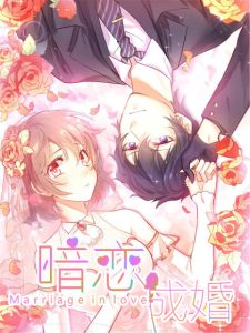 Secret Love And Secret Marriage