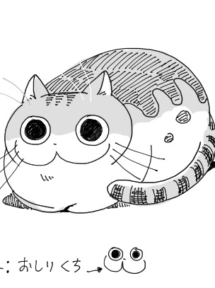 Zutto Neko Shyashinjya