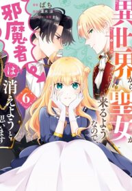 Isekai Kara Seijo ga Kuru You Nanode, Jamamono wa Kieyou to Omoimasu