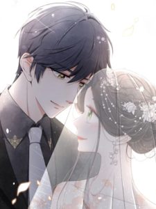Don't Provoke the Contract Wife