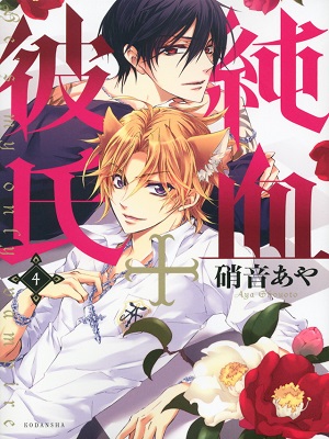 Junketsu + Kareshi