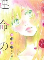 Kimi ni Todoke Special ～Soulmate～