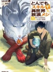 Regarding the Display of an Outrageous Skill Which Has Incredible Powers (Novel)