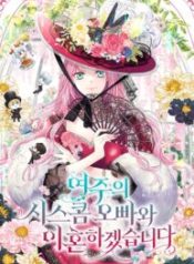I Will Divorce the Female Lead’s Siscon Brother