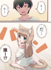 My Cat Is a Kawaii Girl