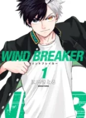 Wind Breaker (Japan)