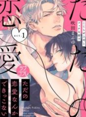 Tada no Renai Nanka de Kikkonai -Kojirase Joushi to Fechina Buka-