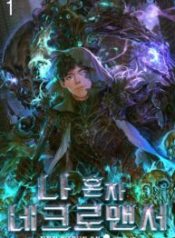 The Lone Necromancer